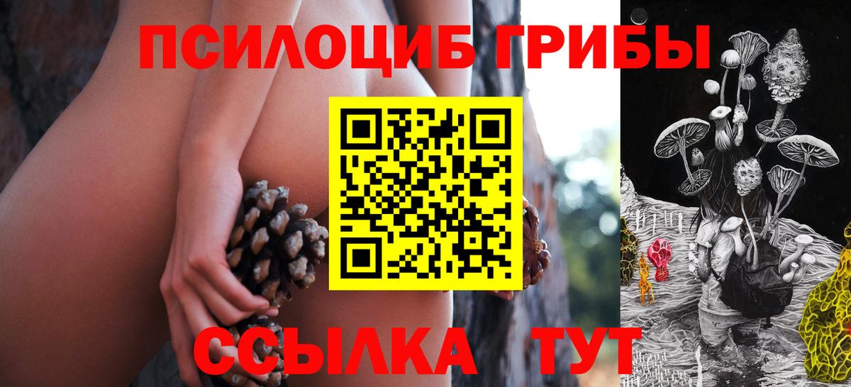 Псилоцибиновые грибы Magic Shrooms Сергиев Посад