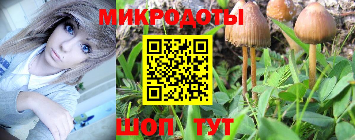 Галлюциногенные грибы Psilocybe  Вход с VPN  Сергиев Посад  Псилоцибиновые грибы мухоморы 